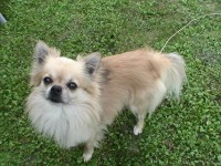 /album/fotogalerie/a019-jpg/