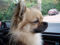 /album/fotogalerie/p8260007-jpg/