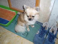 /album/fotogalerie/a001-jpg1/