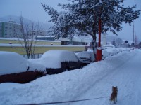 /album/fotogalerie/p1290003-jpg/