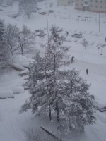 /album/fotogalerie/p2030008-jpg/