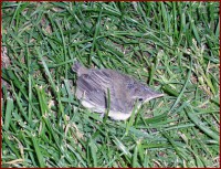 /album/fotogalerie/a024-jpg/